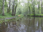 IMG 4011